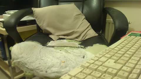 Snapshot of bigcurve chatting on 01-30-25, 08:21 bigcurve online show from 01-30-25, 08:21