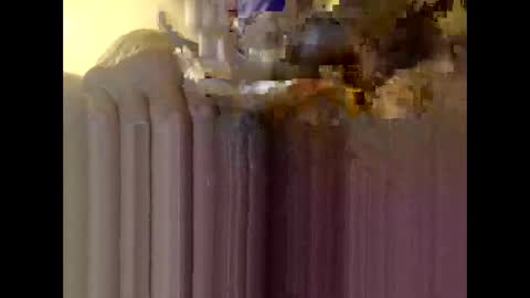 bigdaddydongarlets391292 online show from 12-04-25, 11:30