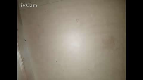 Big online show from 03-13-26, 03:29