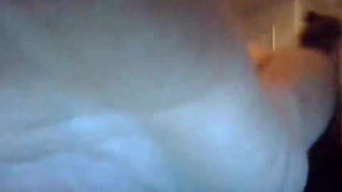 Snapshot of bigdickdaddy7201979564868 chatting on 09-22-25, 07:10 bigdickdaddy7201979564868 online show from 09-22-25, 07:10