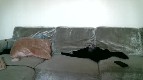 CAJEinc online show from 02-15-25, 05:39