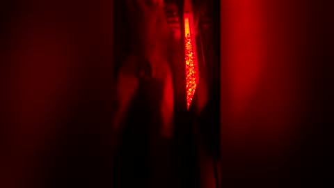 bigdickpapishampoo online show from 12-23-25, 08:12