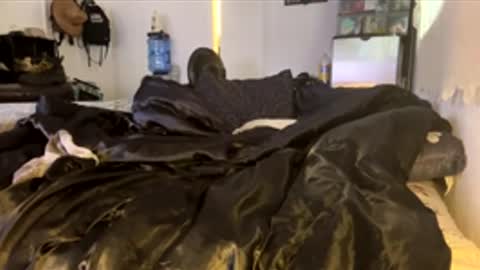 Snapshot of bigdickpapishampoo chatting on 02-04-26, 06:47 bigdickpapishampoo online show from 02-04-26, 06:47