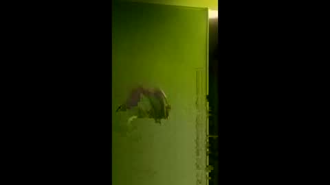 Snapshot of bigdog9thick chatting on 04-06-26, 08:04 bigdog9thick online show from 04-06-26, 08:04