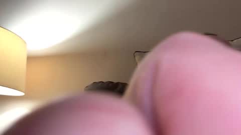 Snapshot of biggloves4bighands chatting on 11-16-25, 12:05 biggloves4bighands online show from 11-16-25, 12:05