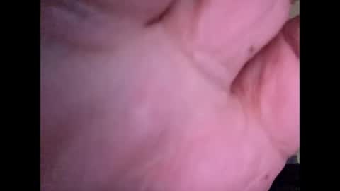 bigguunn online show from 03-04-26, 11:33