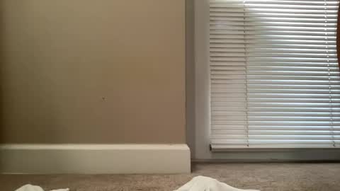 Snapshot of bigjohnsmith5 chatting on 02-11-25, 09:03 bigjohnsmith5 online show from 02-11-25, 09:03