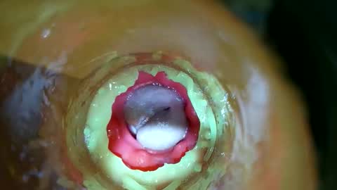 Snapshot of bigmoneycorey chatting on 03-14-26, 07:30 bigmoneycorey online show from 03-14-26, 07:30