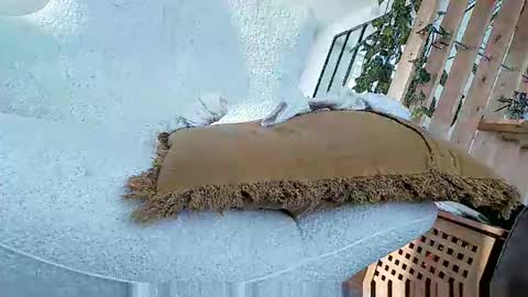 Snapshot of bigo290 chatting on 10-05-25, 02:04 bigo290 online show from 10-05-25, 02:04