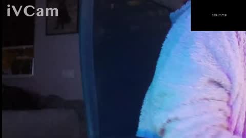 Snapshot of bigomale63 chatting on 09-21-25, 03:19 Anton online show from 09-21-25, 03:19