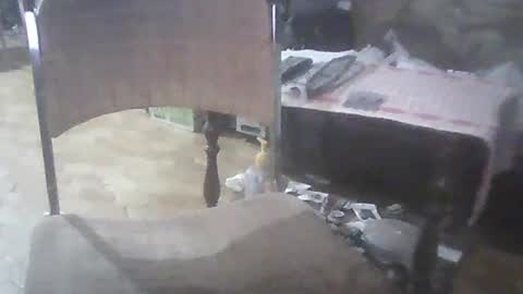 bigpenix online show from 03-02-25, 03:56