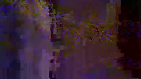 bigrig online show from 01-19-25, 02:59