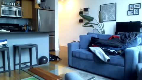 Bigtreatofc online show from 05-25-26, 08:26