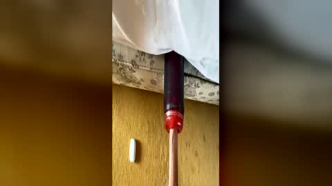 bigukphallus online show from 06-14-26, 12:51