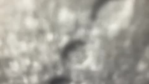 biguywithtoys online show from 12-22-24, 06:37