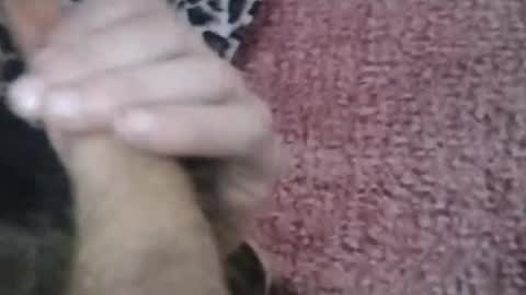 Snapshot of bigwalkdog420 chatting on 01-26-25, 06:58 bigwalkdog420 online show from 01-26-25, 06:58