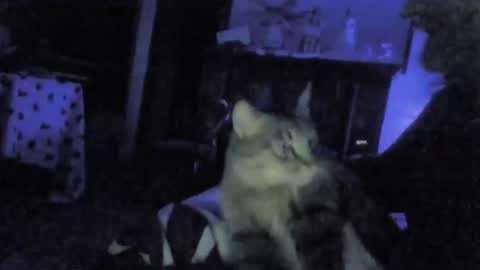 billenews online show from 02-26-26, 06:01