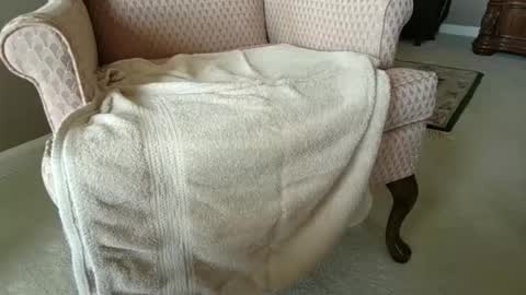 billernest99 online show from 10-01-25, 05:52