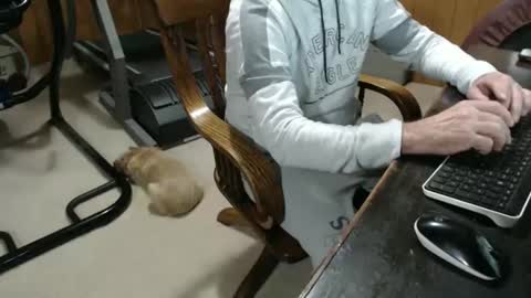 billy471 online show from 01-23-25, 10:11