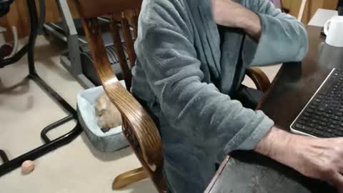 billy471 online show from 12-03-25, 11:52