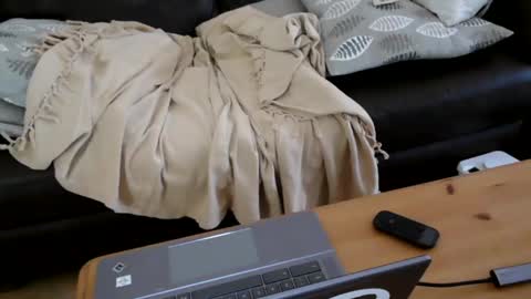 Snapshot of bindmedown chatting on 01-17-25, 10:55 bindmedown online show from 01-17-25, 10:55