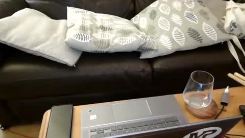 Snapshot of bindmedown chatting on 02-07-25, 11:13 bindmedown online show from 02-07-25, 11:13