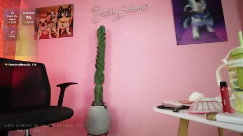 bitchysalome online show from 04-19-26, 06:10