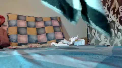 Snapshot of bivolarut30 chatting on 03-10-25, 09:07 if you love pussy give 1 token - im a poor girl any token counts-my shop video pussy  virgina  hairy pussy 1 token online show from 03-10-25, 09:07