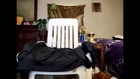 Snapshot of blacccocc4u2 chatting on 03-29-26, 12:16 blacccocc4u2 online show from 03-29-26, 12:16