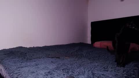 black_firex online show from 10-06-25, 04:59