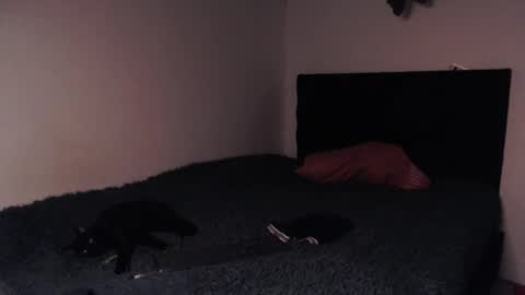 black_firex online show from 10-08-25, 09:34