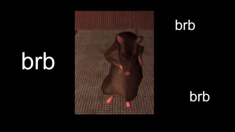 Snapshot of black_kittie_01 chatting on 01-20-25, 01:21 Black Kittie Wednesday - 1300 - 1900 GMT help me get 100 thumbs up online show from 01-20-25, 01:21