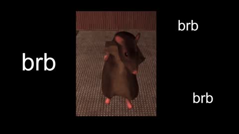 Snapshot of black_kittie_01 chatting on 02-13-25, 11:06 Black Kittie Wednesday - 1300 - 1900 GMT help me get 100 thumbs up online show from 02-13-25, 11:06