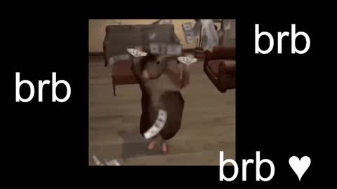 Snapshot of black_kittie_01 chatting on 10-26-25, 01:17 Black Kittie Wednesday - 1300 - 1900 GMT help me get 100 thumbs up online show from 10-26-25, 01:17