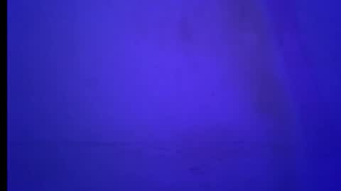 BLACK online show from 01-19-26, 05:55