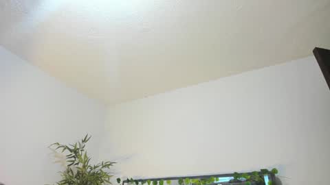 B L A C K  R O S E  online show from 01-31-25, 11:35