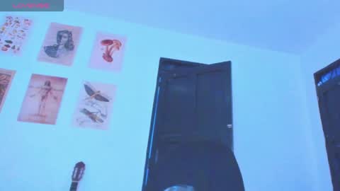 Snapshot of black_skull22 chatting on 01-18-26, 01:20 Bryan online show from 01-18-26, 01:20