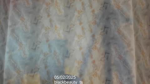 Snapshot of blackbeauty_ts chatting on 02-05-25, 02:59 Nina online show from 02-05-25, 02:59