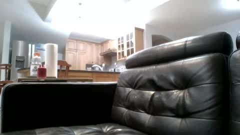 blackcat431956 online show from 07-13-26, 05:54