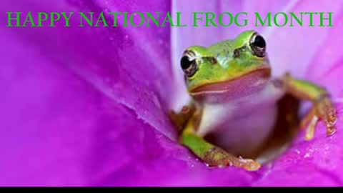 Queen Siren online show from 04-01-26, 08:26