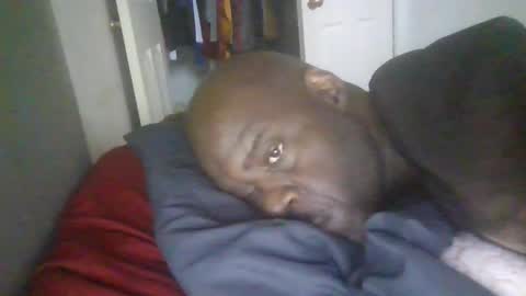 blackteddybear online show from 01-19-26, 03:05