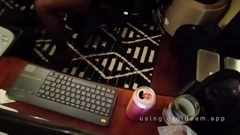 Blackjag00 online show from 02-14-25, 05:41