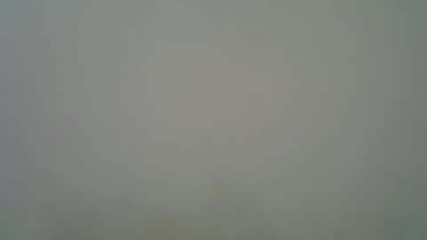 Black  brown online show from 11-11-25, 05:29