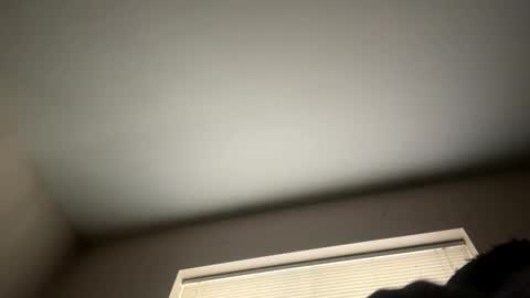 blkbbcking online show from 12-01-25, 02:11