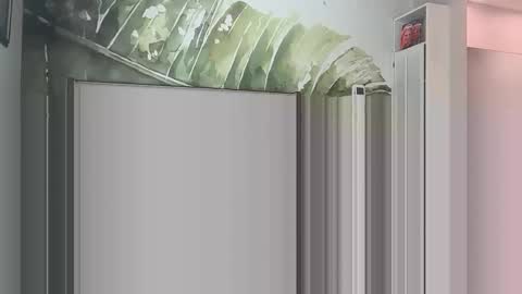 blondebunny999 online show from 03-18-26, 08:56