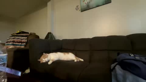 Snapshot of bluebloodednorsewitch chatting on 10-16-25, 02:29 bluebloodednorsewitch online show from 10-16-25, 02:29