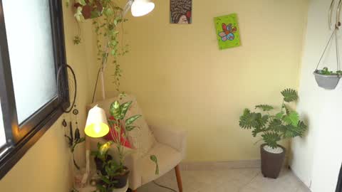 FLORAA online show from 01-26-25, 12:33