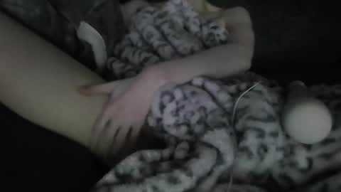 Snapshot of blyss666 chatting on 02-06-26, 04:17 lyss online show from 02-06-26, 04:17