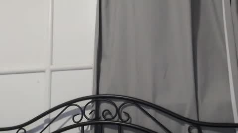 bob online show from 12-15-24, 10:28