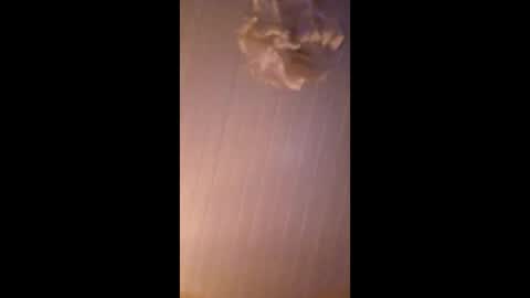 Snapshot of bobberman78 chatting on 12-20-25, 04:25 Dan online show from 12-20-25, 04:25